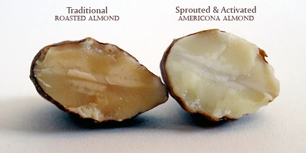 Roasted vs Sprouted 'Activated' Almonds
